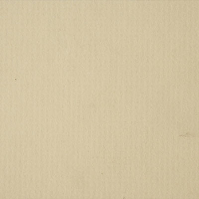 Antique Ivory Texture